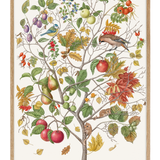 AUTUMN CHILD - only name and birth date