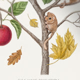 AUTUMN CHILD - only name and birth date