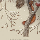 WINTER CHILD - only name and birth date