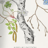 SPRING CHILD - only name and birth date