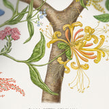 SUMMER CHILD - only name and birth date