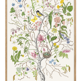 SPRING CHILD - only name and birth date