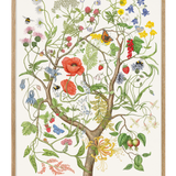 SUMMER CHILD - only name and birth date