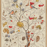 WINTERKIND