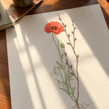 Our Bouquet