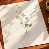 Our Bouquet